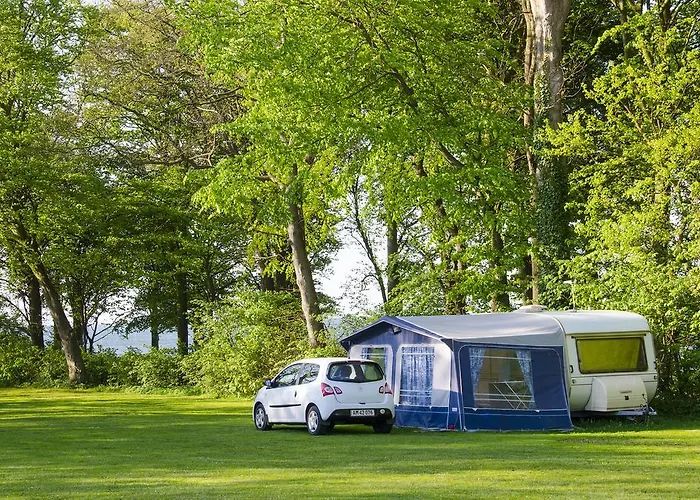 Kamp alanı & 3*